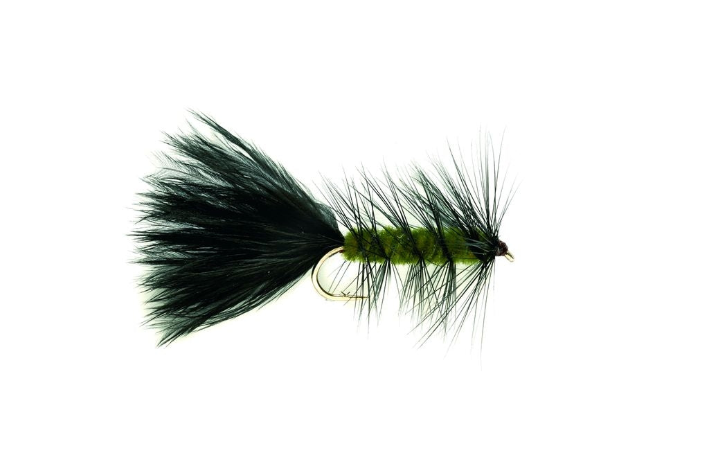 Olive Woolly Bugger