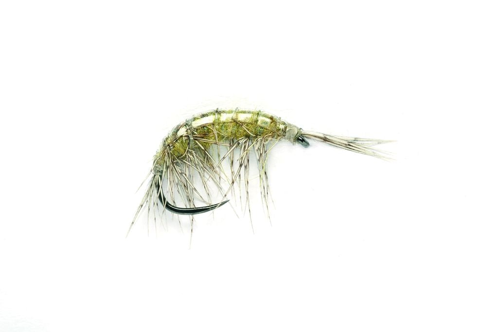 Barbless Freshwater Shrimp