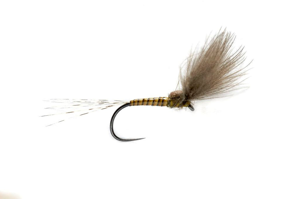 BWO Split Wing Dun