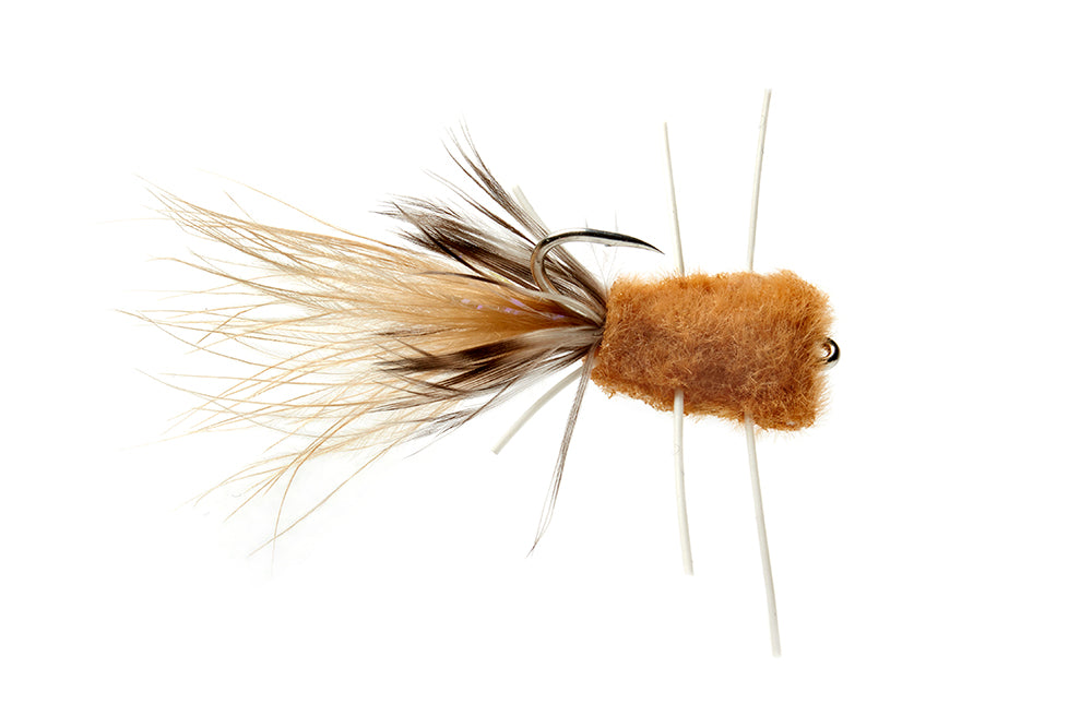 Olly's Raghead Crab