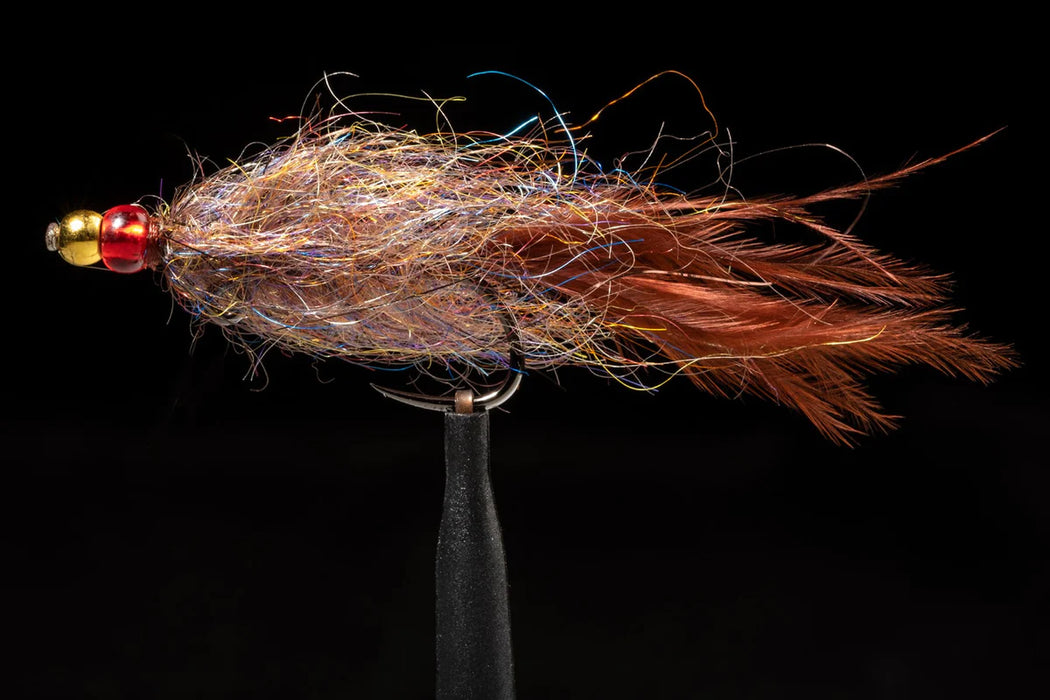 Brown Balanced Leech
