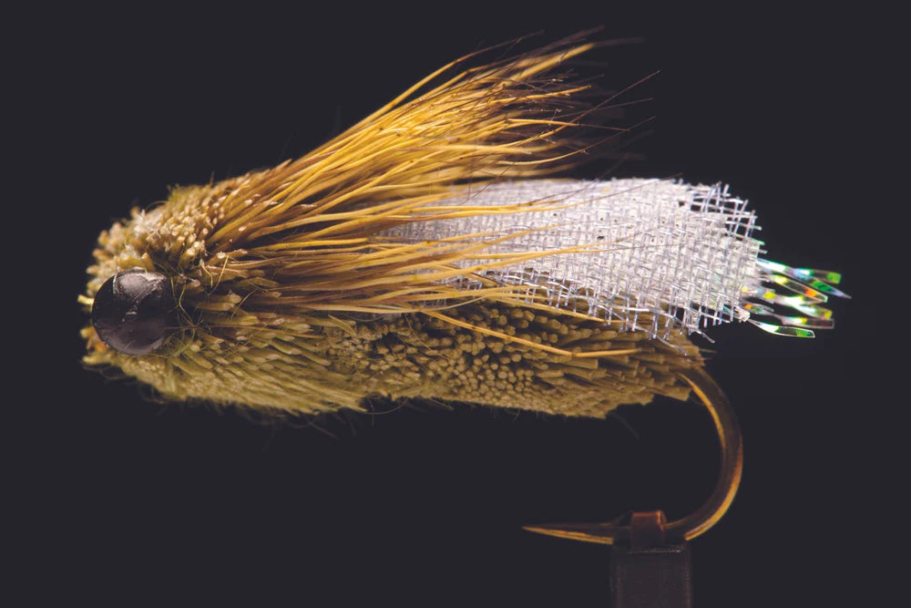 Classic Cicada - Olive