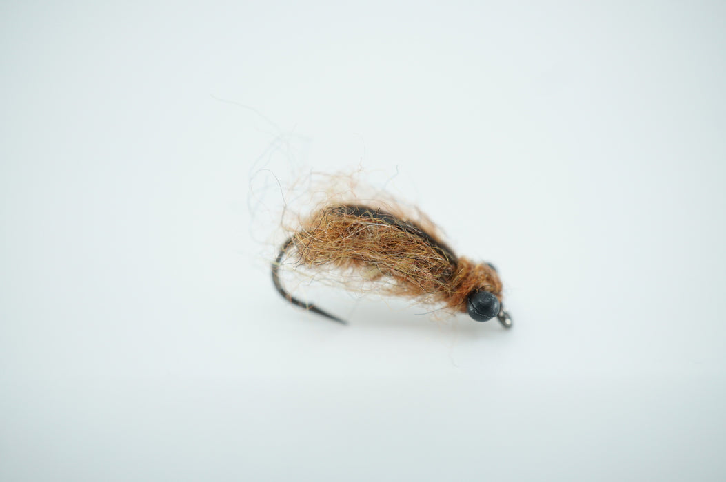Roo's Spider Mudeye