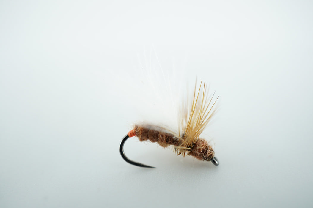 Roo's termite