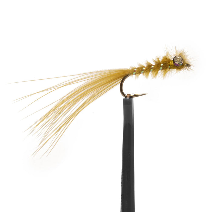 Dy's Damsel - Light Olive