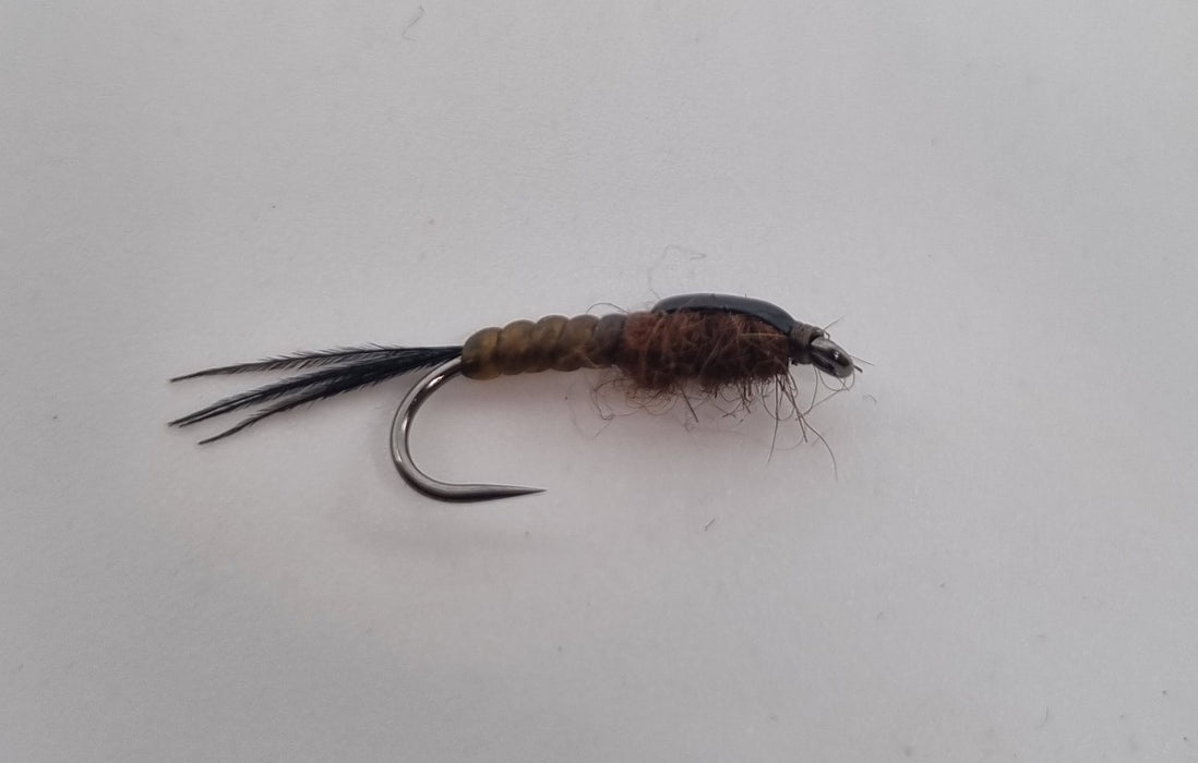 Fullsy's Nymph