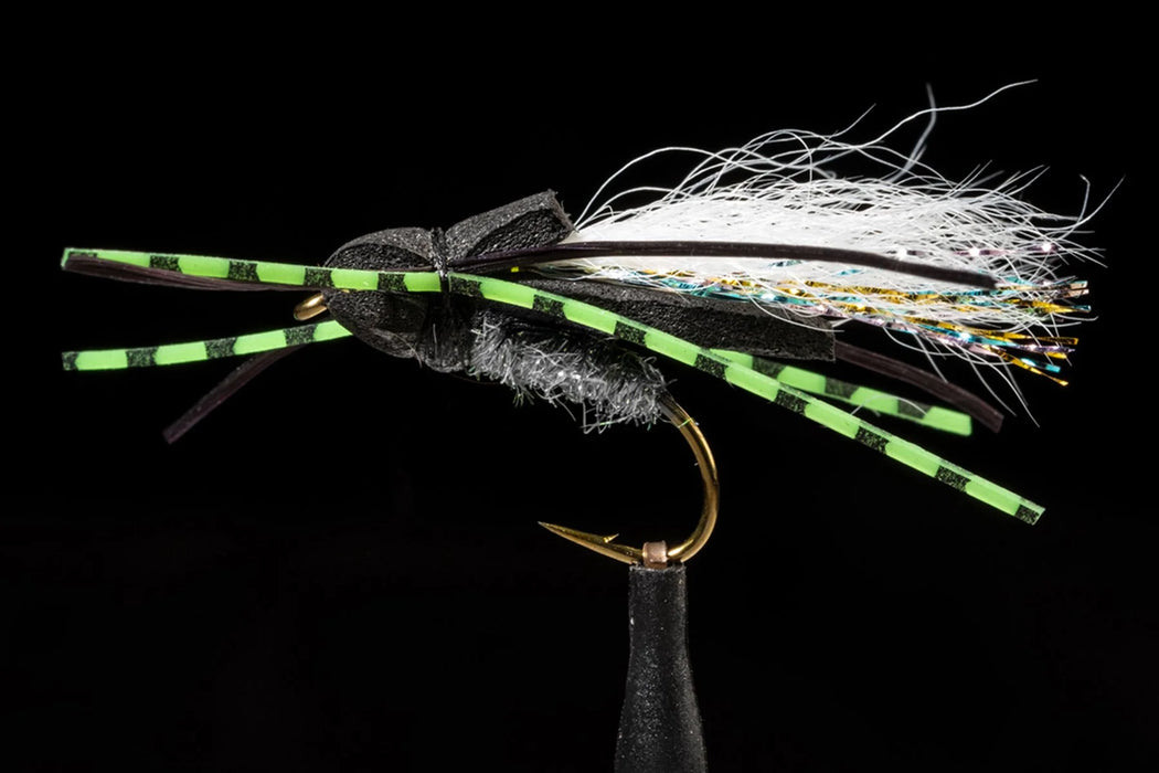 Flat Back Cicada Black