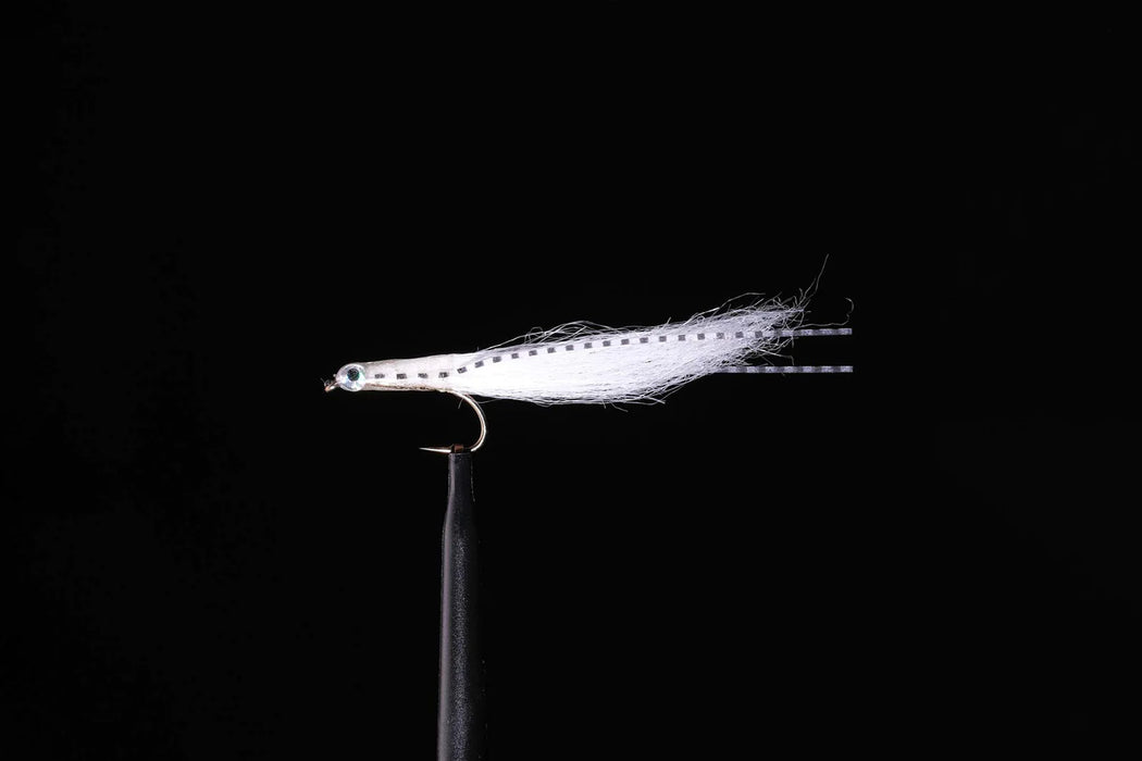 Whitebait Candy