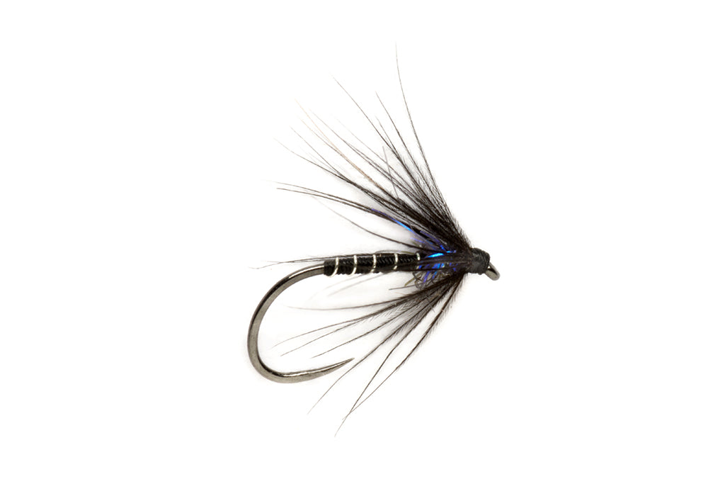 Procter Ice Thorax Black Spider - Barbless