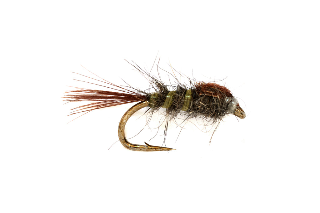 Ronan Unweighted Nymph