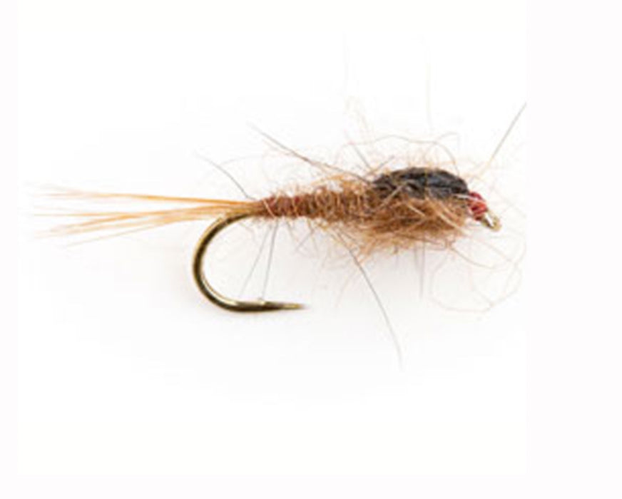 Murrumbidgee Nymph