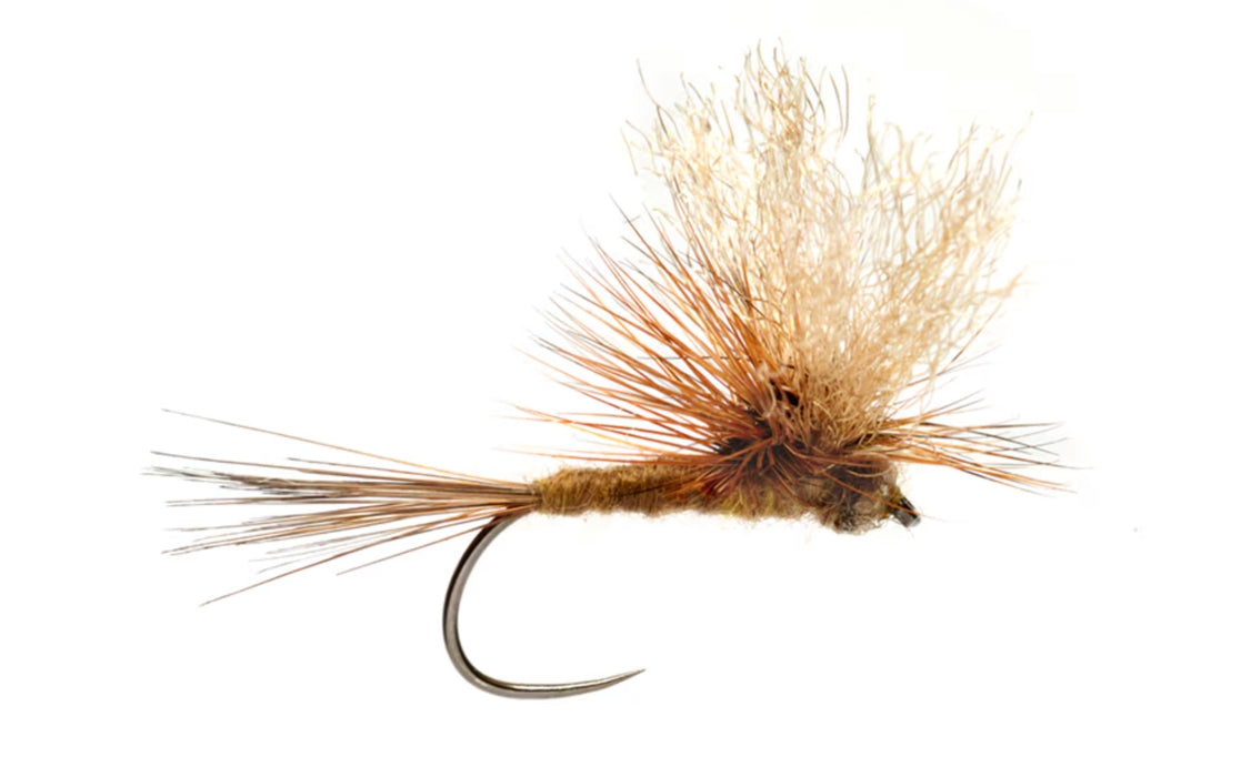 Buckey's Pete The Meat Barbless