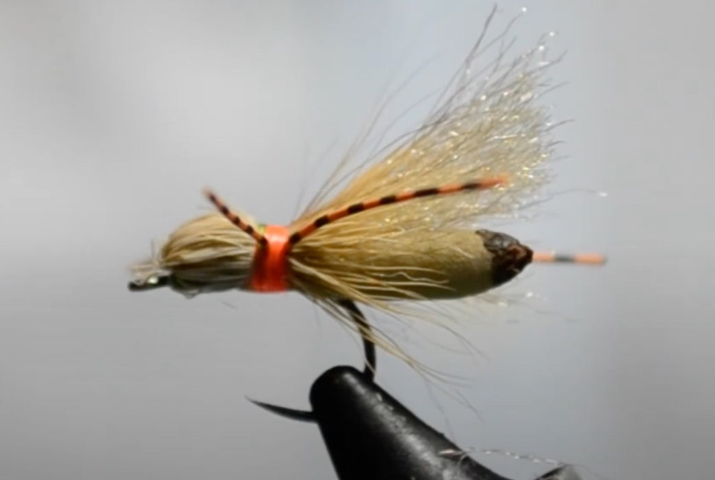 Commonwealth Hopper #12
