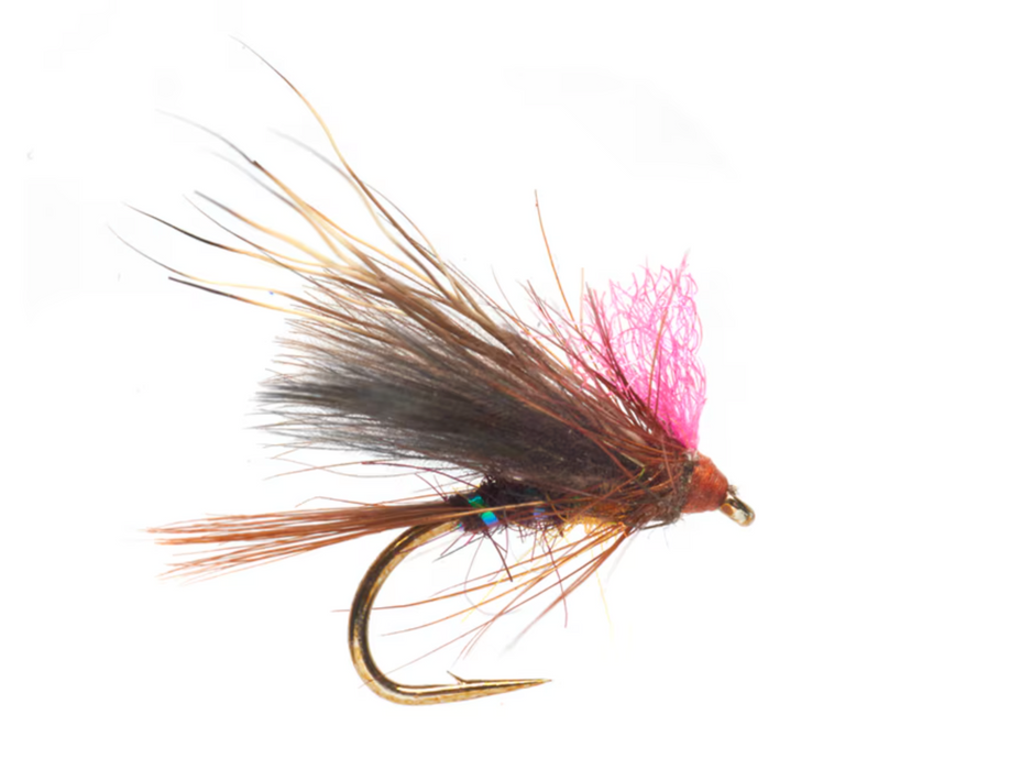 Ronan's Kiwi Dun