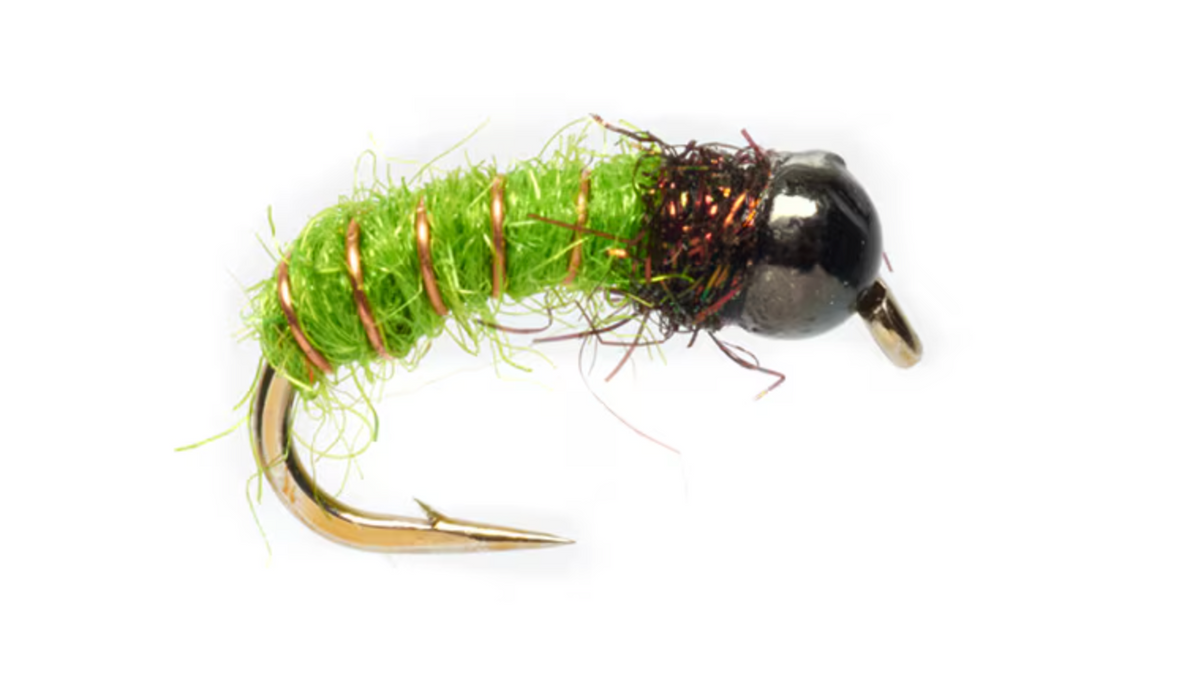 Procter's Caddis Pupa Green