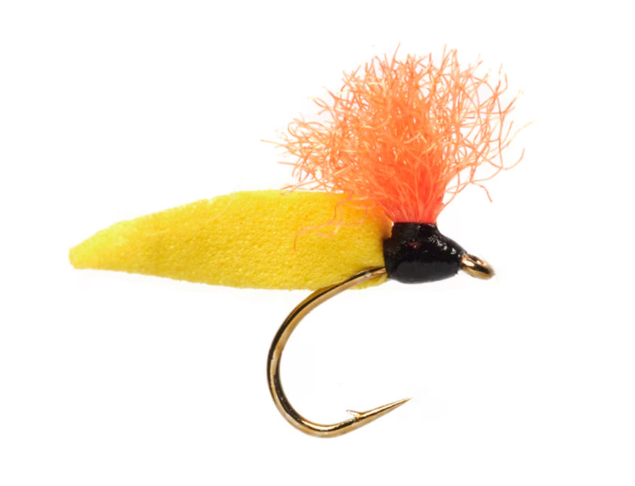 Procter's Willow Grub