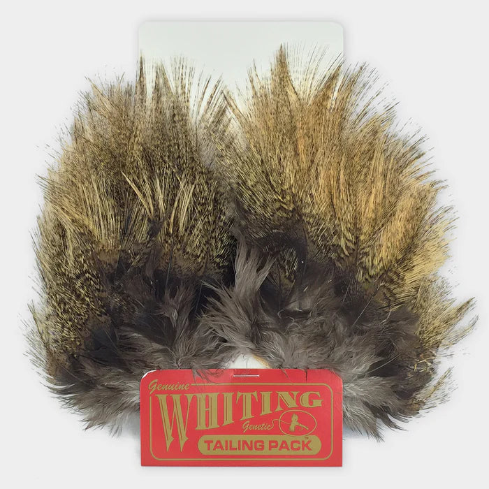 Whiting Coq De Leon Tailing Pack Light Pardo