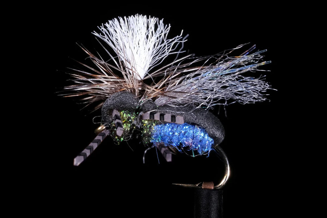 Wayne's Blowfly