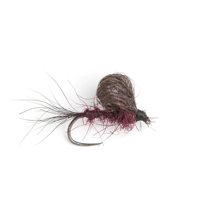 Bassano Possum Emerger - Claret