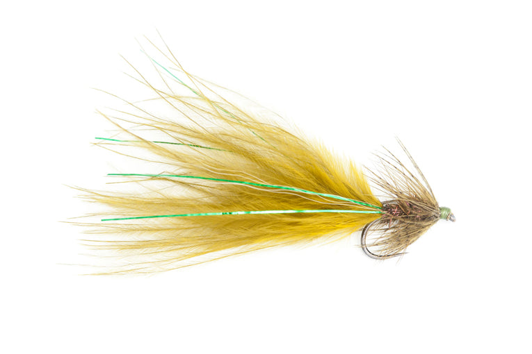 Bassano Mcgoo Olive Head