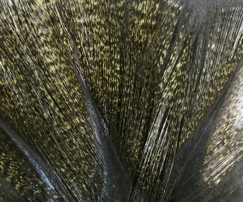 Hareline Coq De Leon Feathers (Assorted Colours)