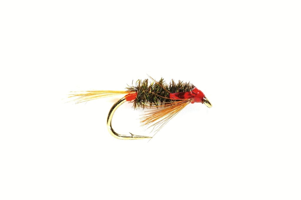 Red Diawl Bach