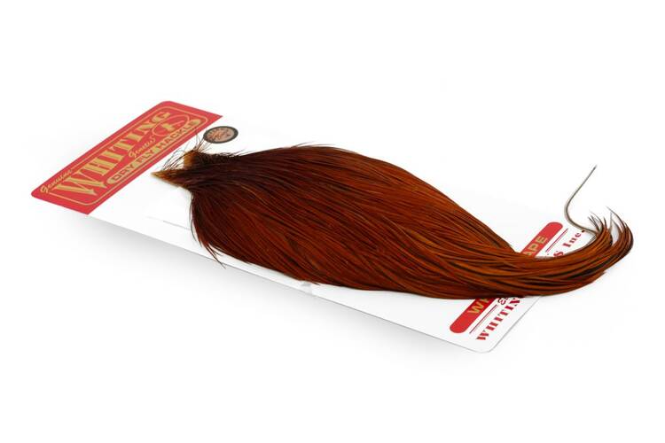 Whiting Bronze Dry Fly Cape Brown