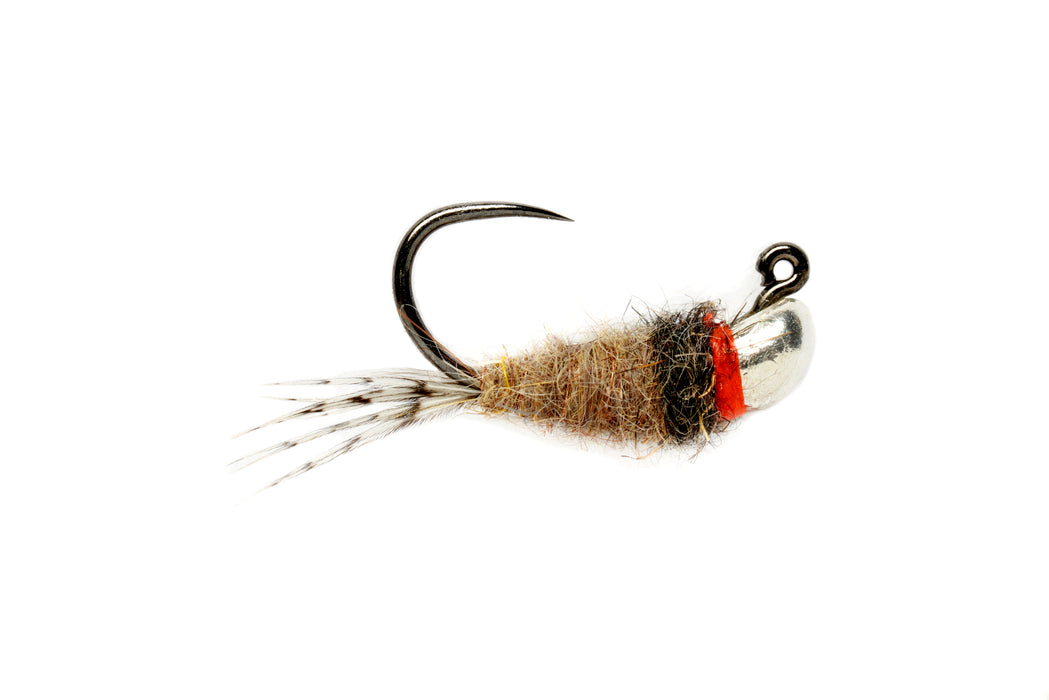 Roza's Hares Ear Bomb - B/L