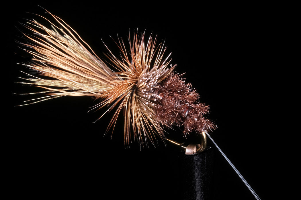 Kyle's Coloboriscus Emerger