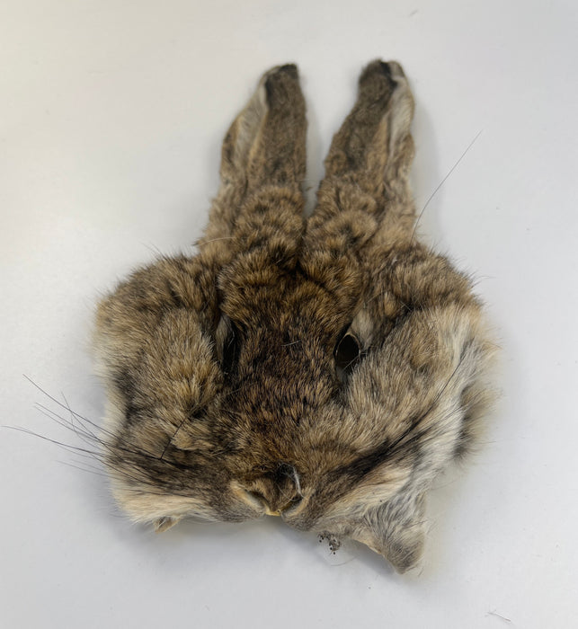 Tiewell Hare's Mask Natural