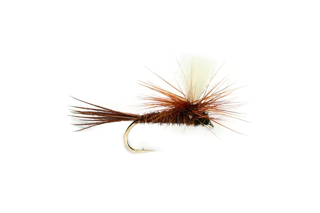 Para Pheasant Tail