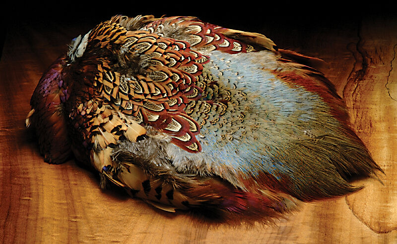Hareline Ringneck Pheasant Skin