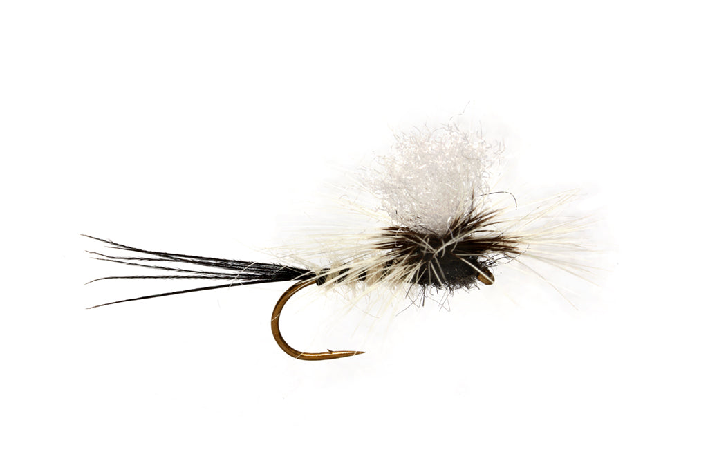 Jackie Spent White Mayfly