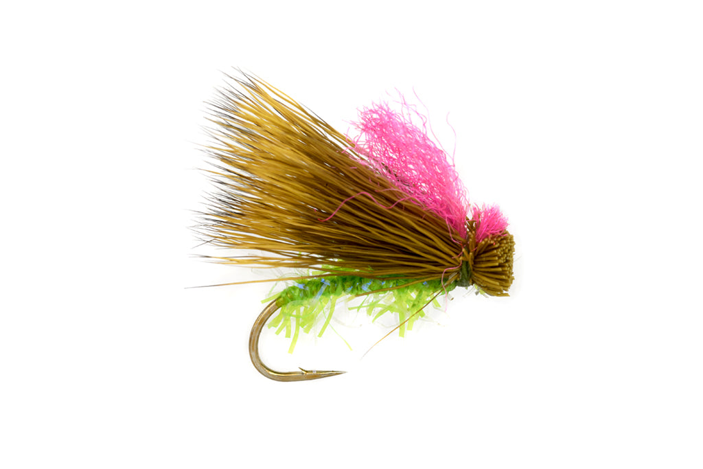 Ronan's High Country Green Cicada