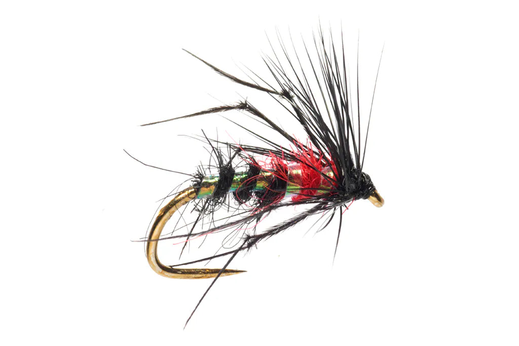 Jenkins Sumo Hopper Bibio B/L