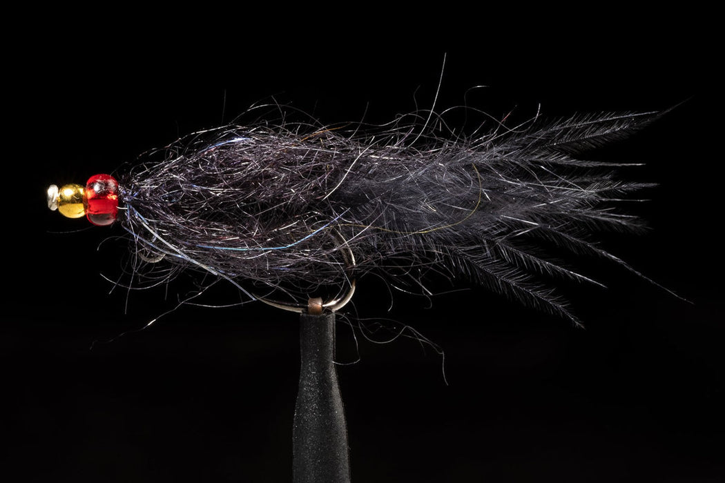 Black Balanced Leech