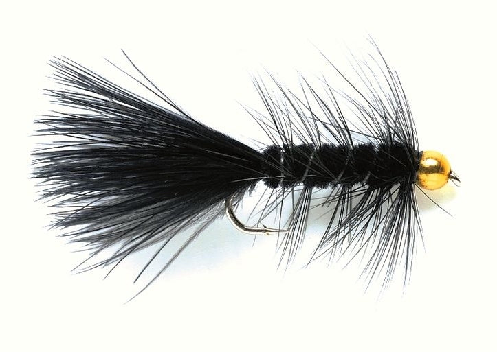 BH Black Bugger