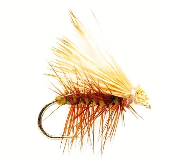 Elkwing Caddis Olive