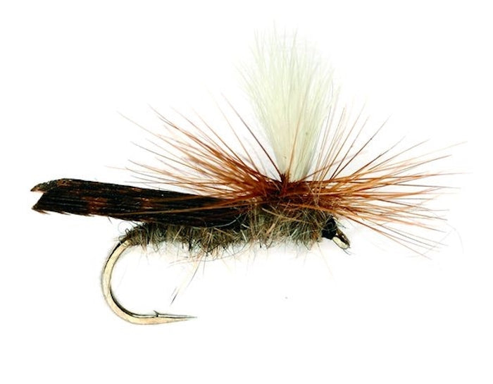 Parachute Caddis