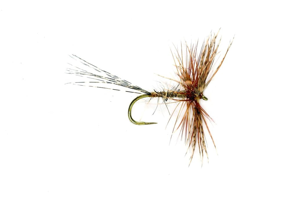 Jingler March Brown