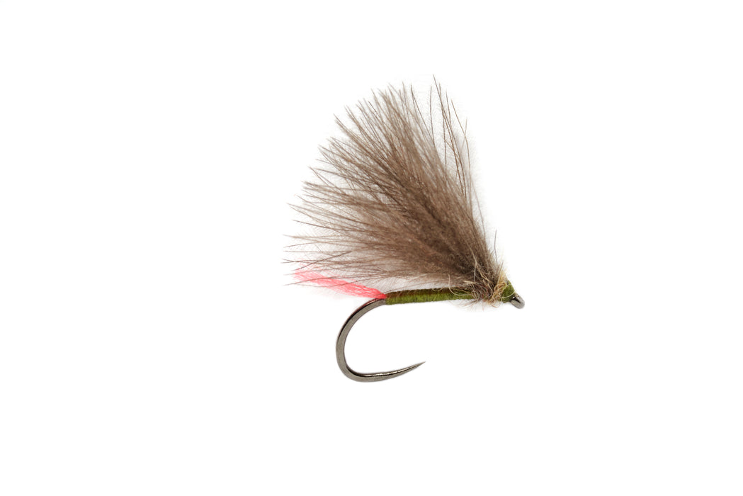 Roza’s Red Tag Olive Barbless