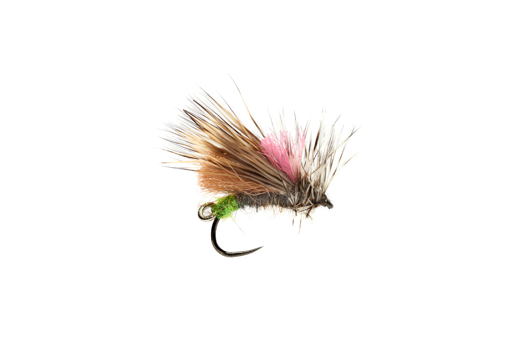 Duo Caddis