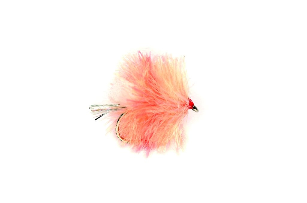 FAB Coral Spot
