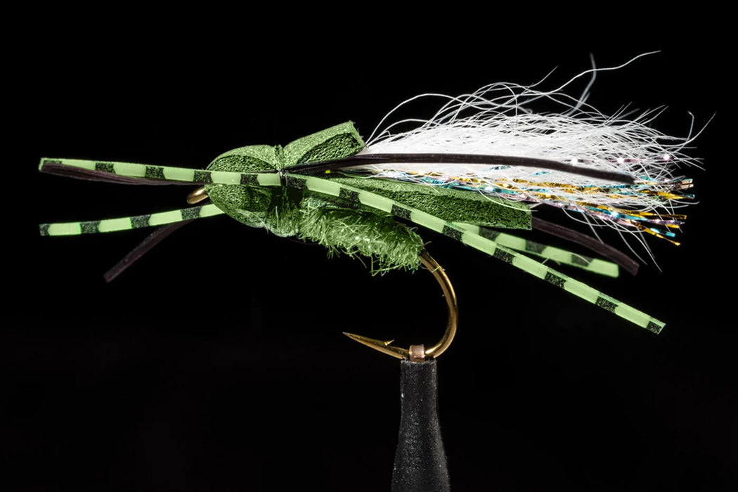 Flat Back Cicada Olive