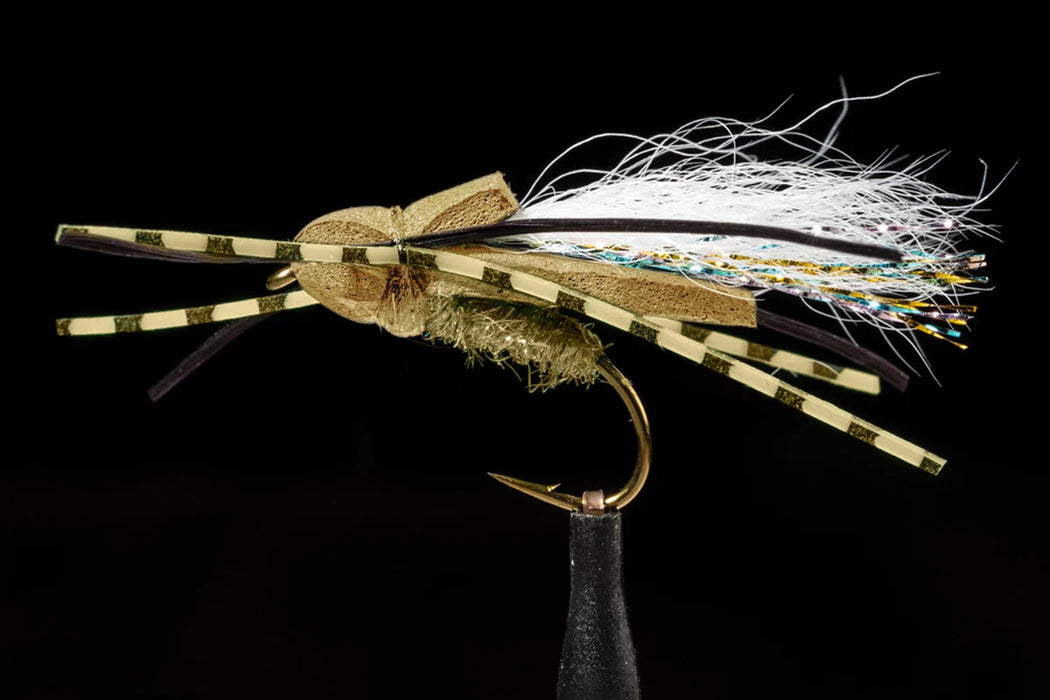 Flat Back Cicada Tan