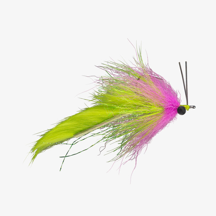 Boyles Swamp Fox Electric Chicken