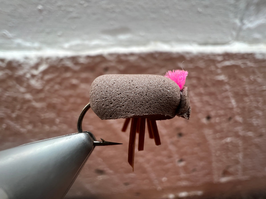 Spot On Brown Beetle