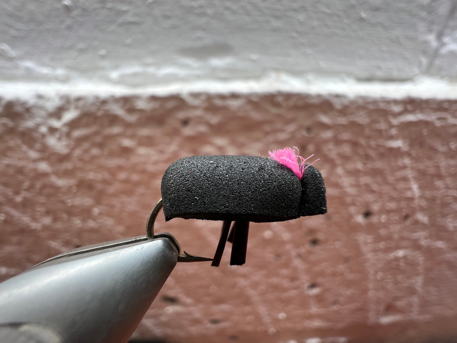 Spot On Black Beetle