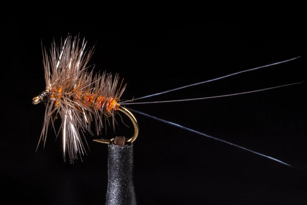 Palmered Spinner Orange