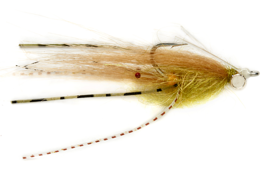 Sydney's Shrimp Olive #8
